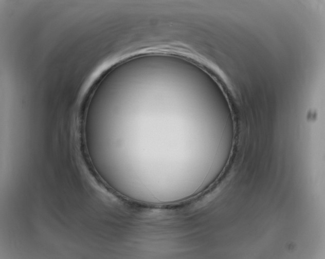 X0000096941506200802080847
