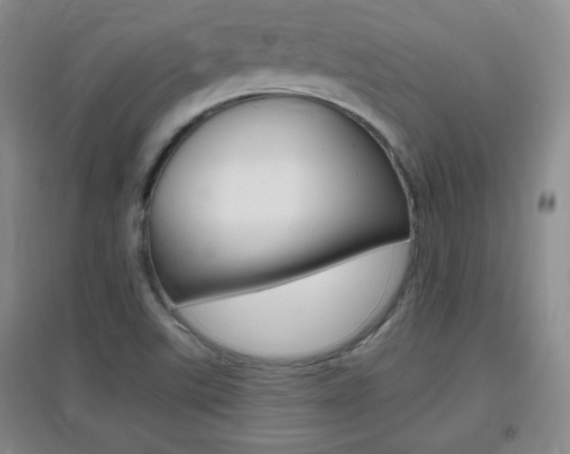 X0000096941507200802080847