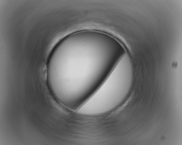 X0000096941509200802080847