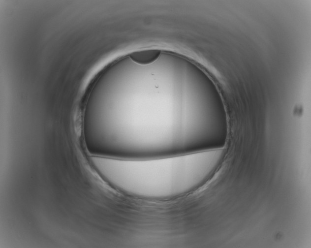 X0000096941510200802080847