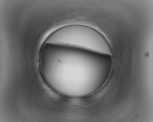 X0000096941511200802080847