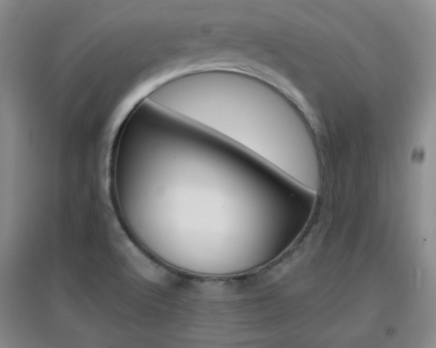 X0000096941512200802080847