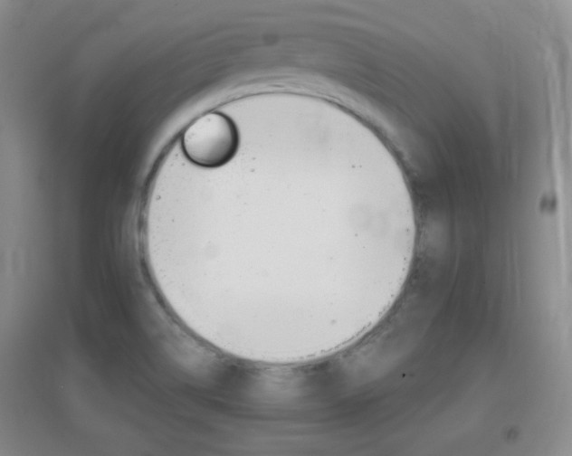 X0000096941514200802080847