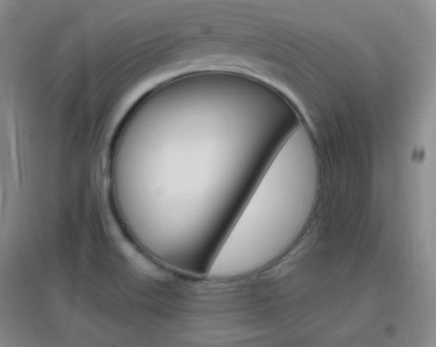 X0000096941515200802080847