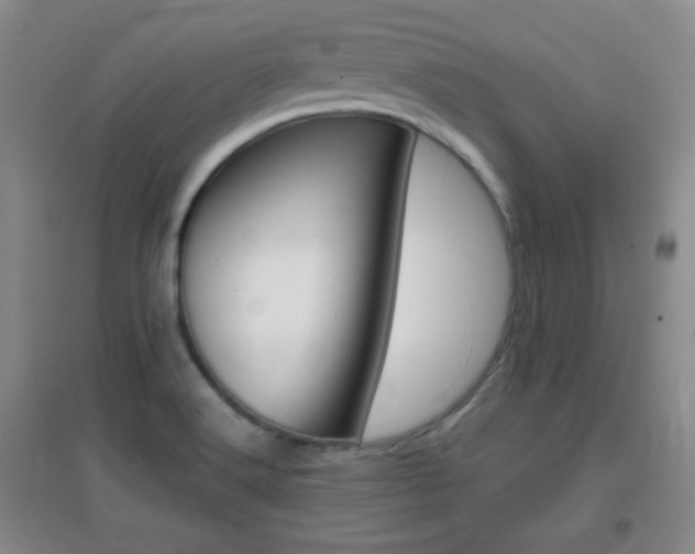 X0000096941516200802080847