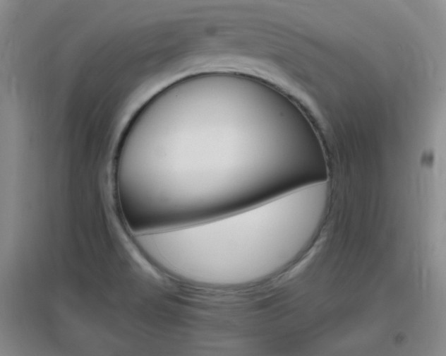 X0000096941517200802080847