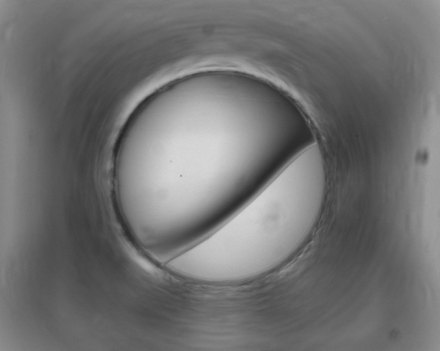 X0000096941519200802080847