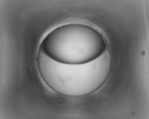 X0000096941520200802080847