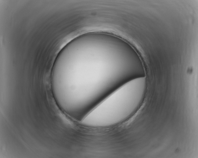 X0000096941521200802080847