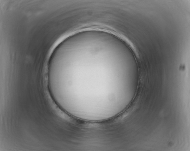X0000096941522200802080847
