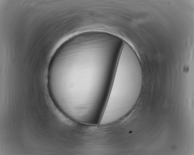 X0000096941523200802080847