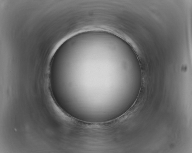 X0000096941524200802080847