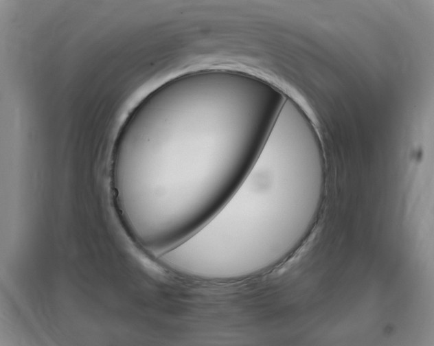 X0000096941525200802080847