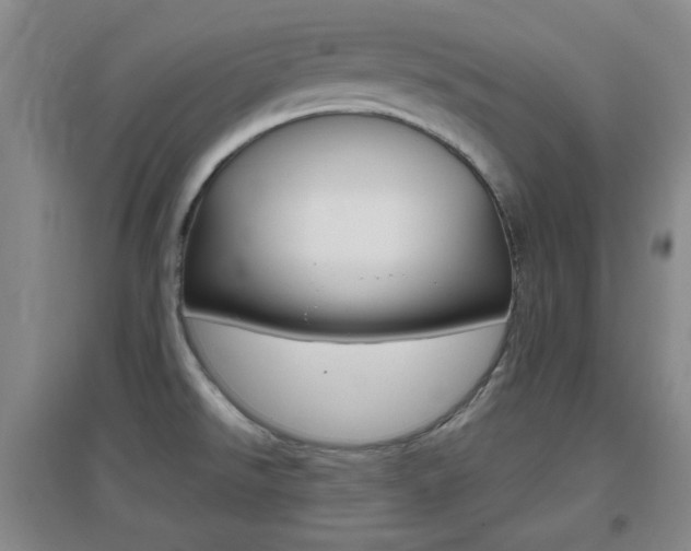 X0000096941526200802080847