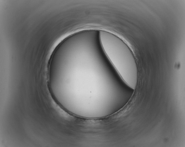 X0000096941527200802080847