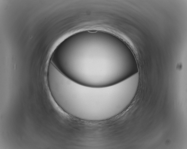 X0000096941528200802080847