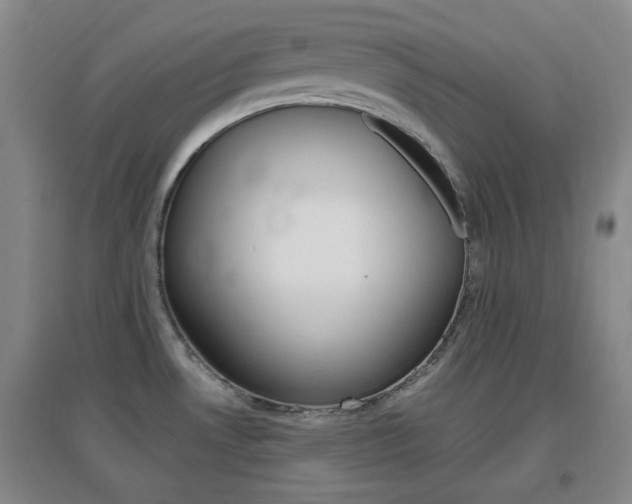X0000096941530200802080847