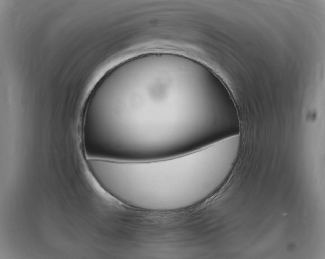 X0000096941531200802080847