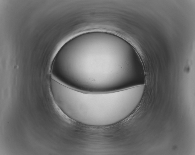 X0000096941532200802080847