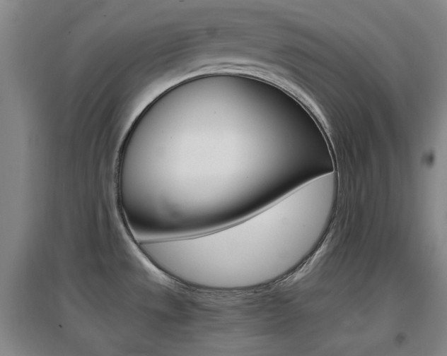 X0000096941533200802080847