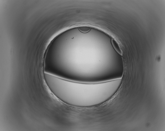 X0000096941534200802080847