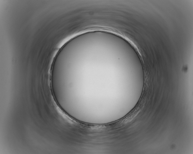 X0000096941535200802080847
