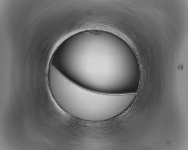 X0000096941536200802080847