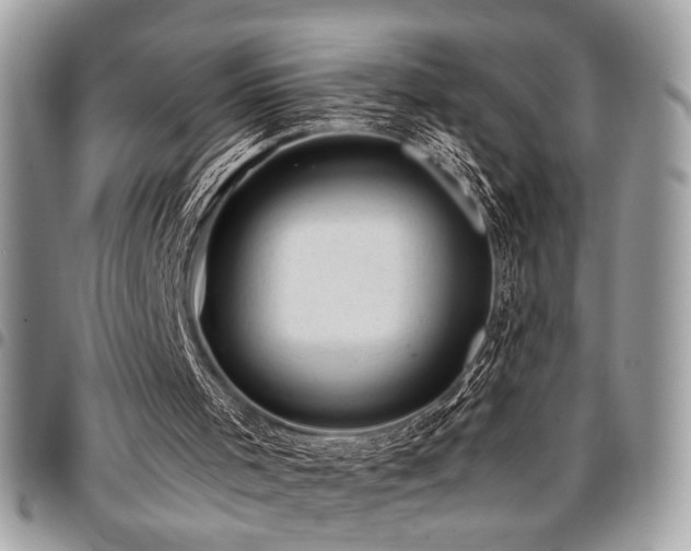 X0000096940001200802081217