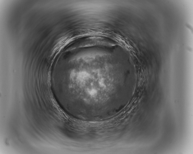 X0000096940002200802081217
