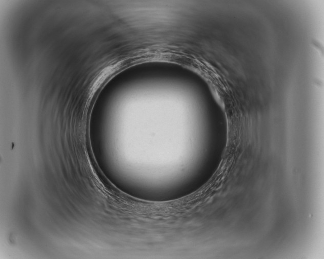 X0000096940003200802081217