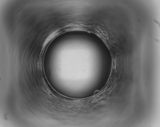 X0000096940004200802081217