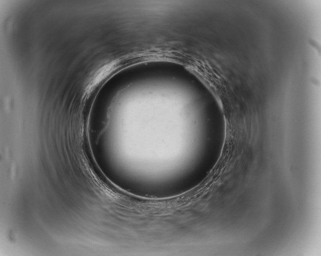 X0000096940005200802081217