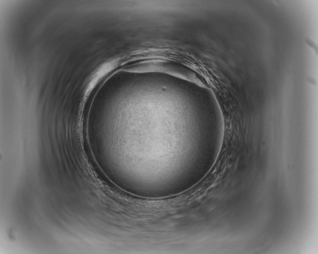 X0000096940006200802081217