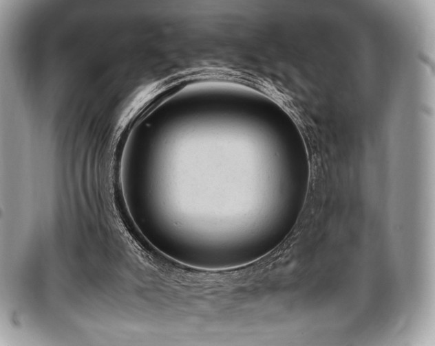 X0000096940007200802081217