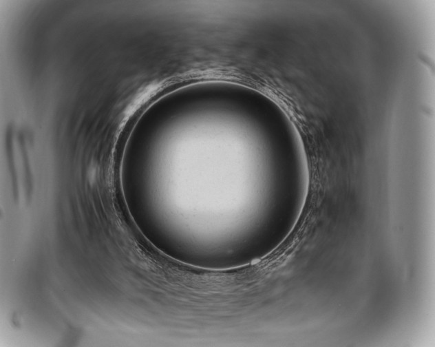 X0000096940008200802081217