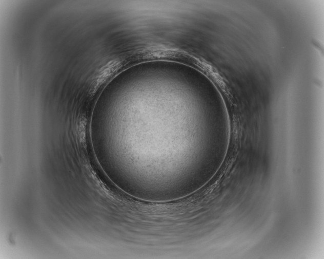 X0000096940010200802081217