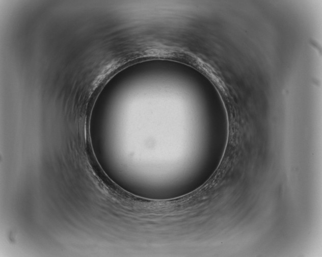 X0000096940011200802081217