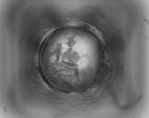 X0000096940012200802081217