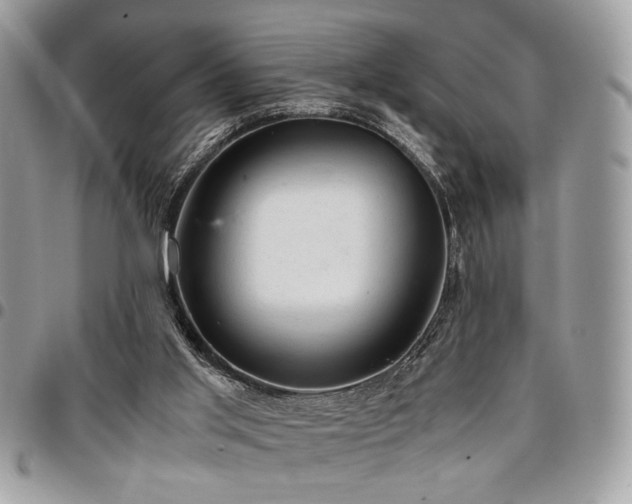 X0000096940013200802081217