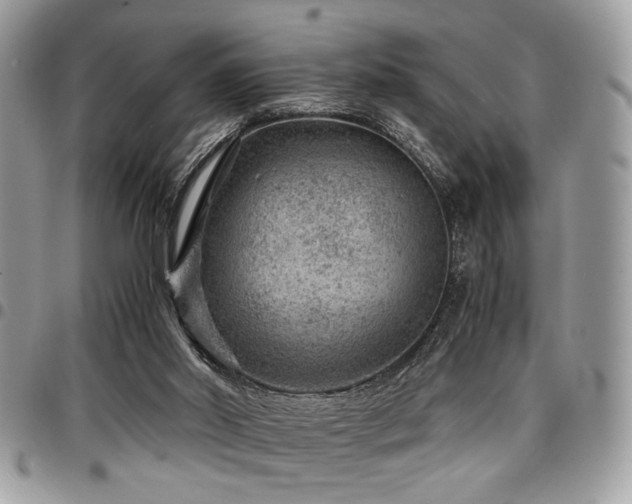 X0000096940014200802081217