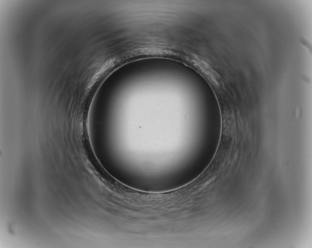 X0000096940015200802081217