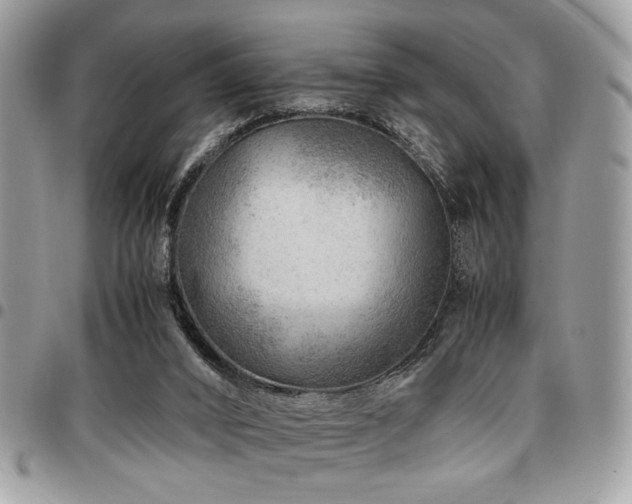 X0000096940016200802081217