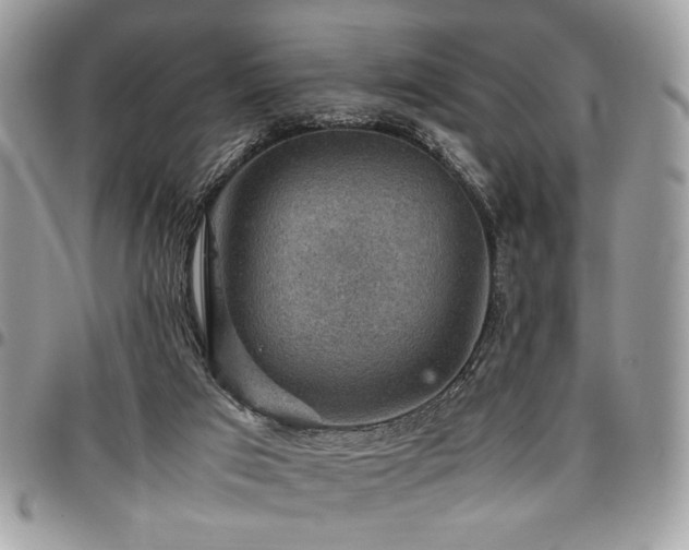 X0000096940017200802081217