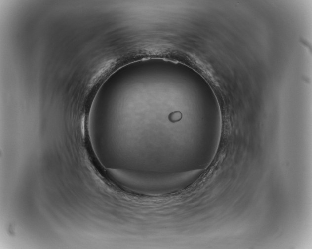 X0000096940019200802081216