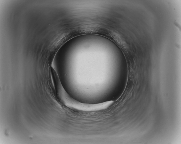 X0000096940021200802081216