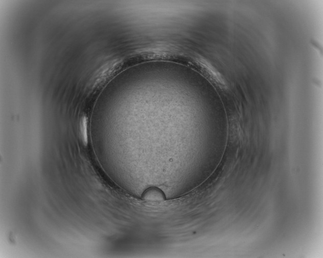 X0000096940022200802081216