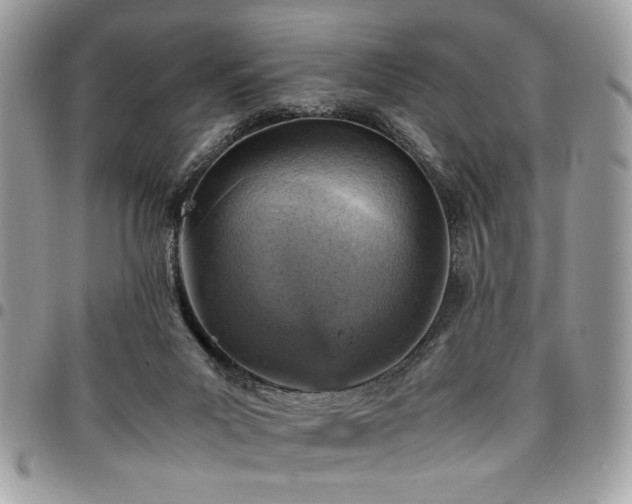 X0000096940023200802081216