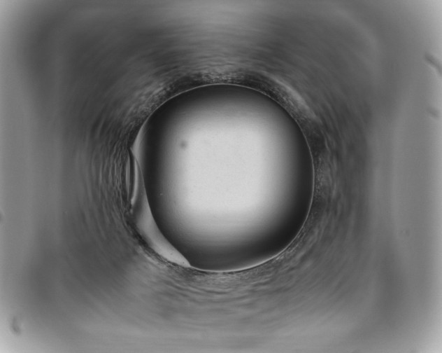X0000096940025200802081216