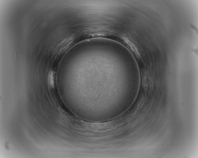 X0000096940026200802081216