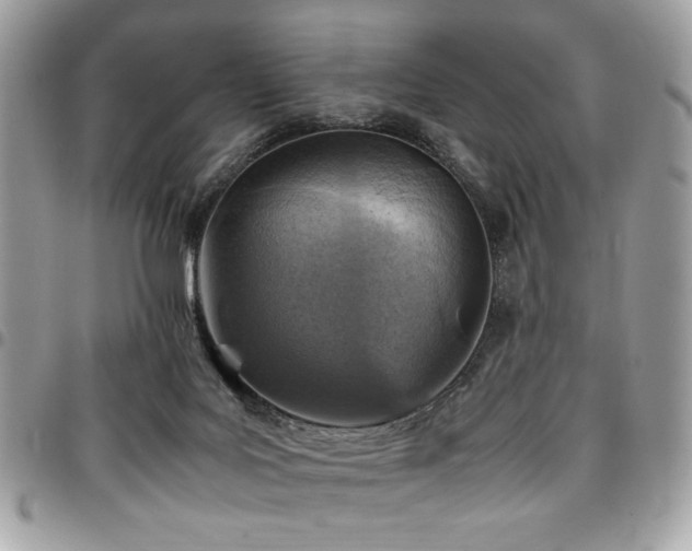 X0000096940027200802081216